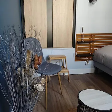 Duplex Cosy Hyper Centre Apartment Dieppe